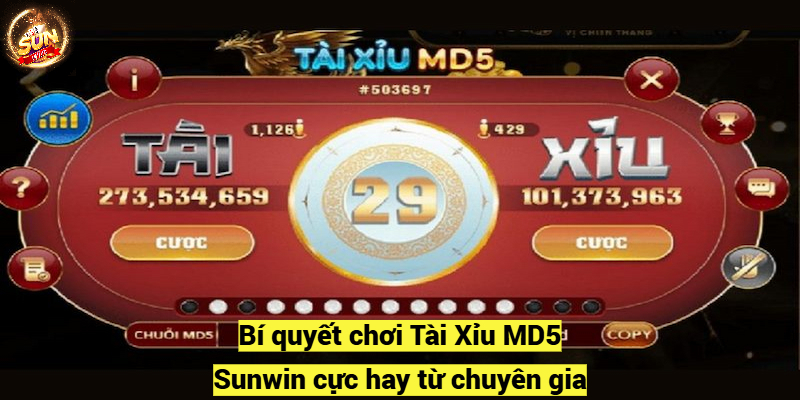 Bí quyết chơi Tài Xỉu MD5 Sunwin cực hay từ chuyên gia