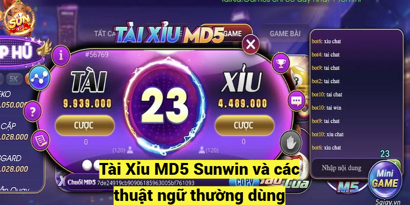 Tài Xỉu MD5 Sunwin và các thuật ngữ thường dùng